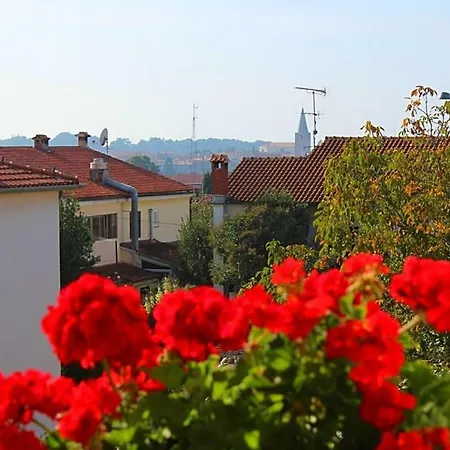 Ruzica بوريتش