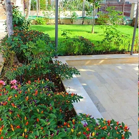 Ruzica Apartman